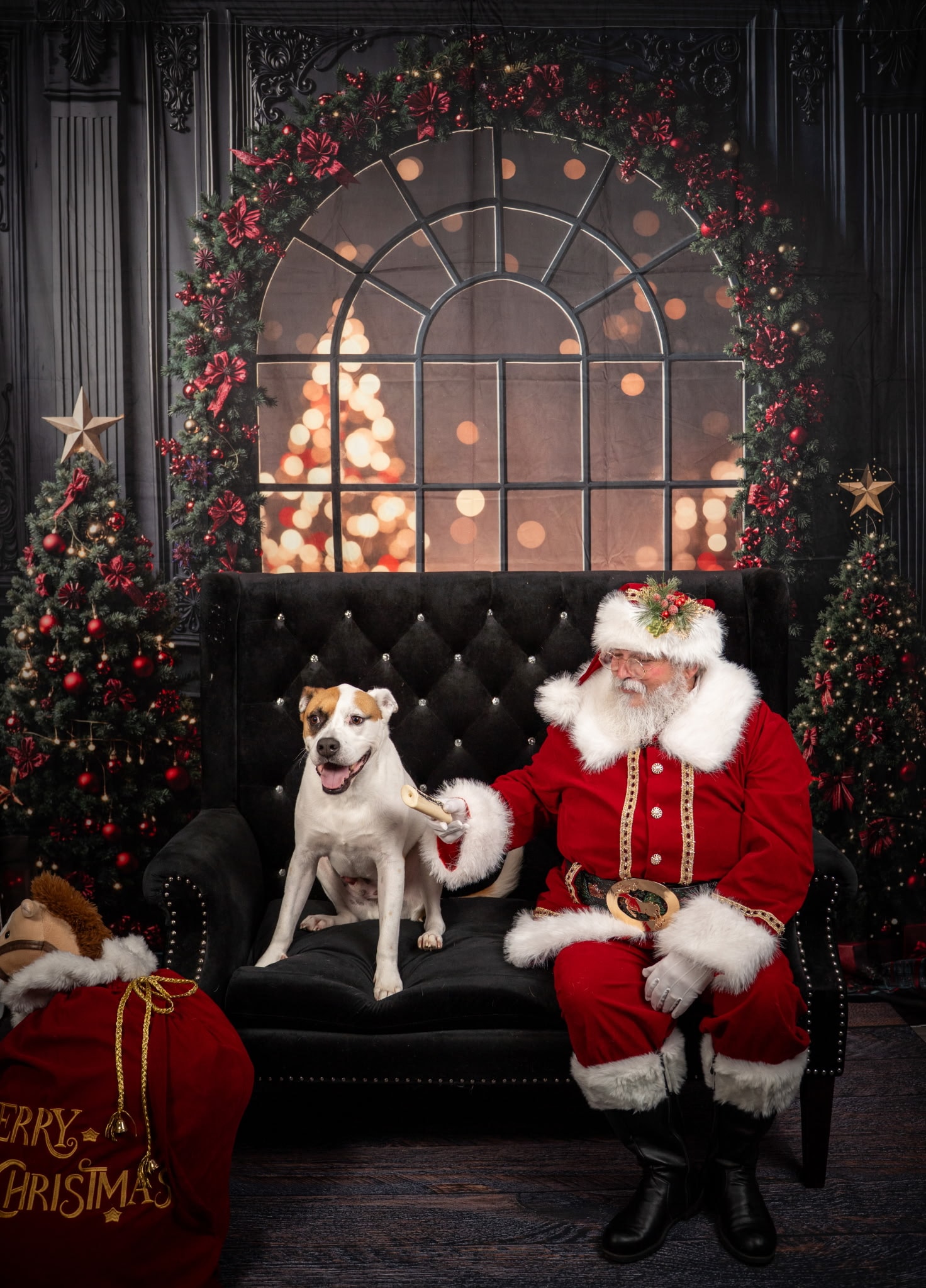 Santa with a dog